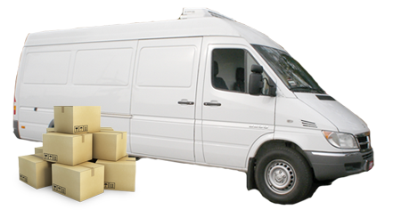 Best Domestic courier services in India